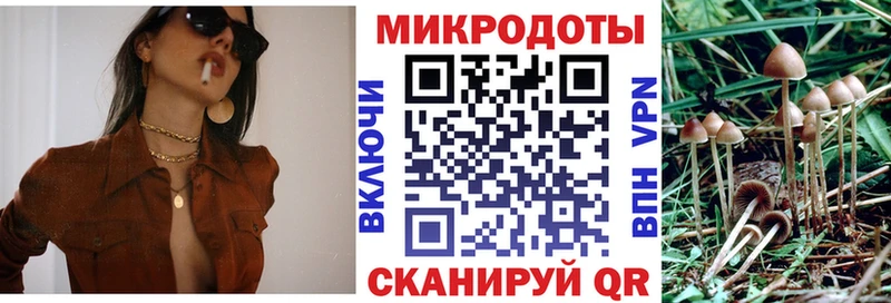 Псилоцибиновые грибы прущие грибы Купить где Юрга